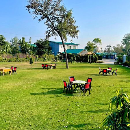 The Jungle Joy Resort & Spa 兰纳加 外观 照片