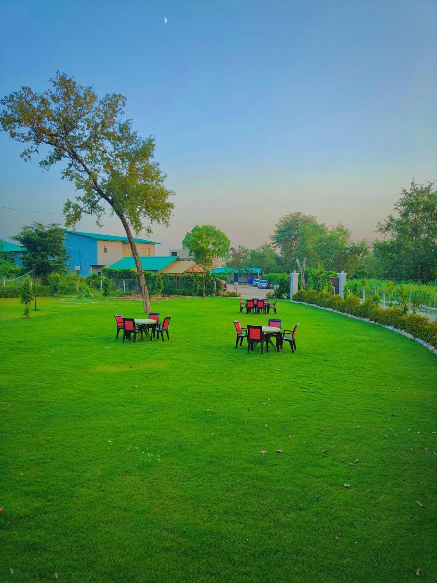 The Jungle Joy Resort & Spa 兰纳加 外观 照片
